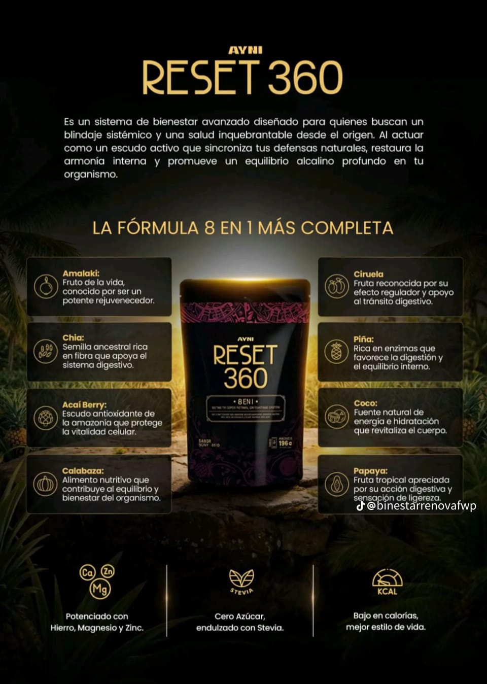 🔄 RESET 360™ | Suplemento Funcional para Desintoxicación y Bienestar Total ⚡